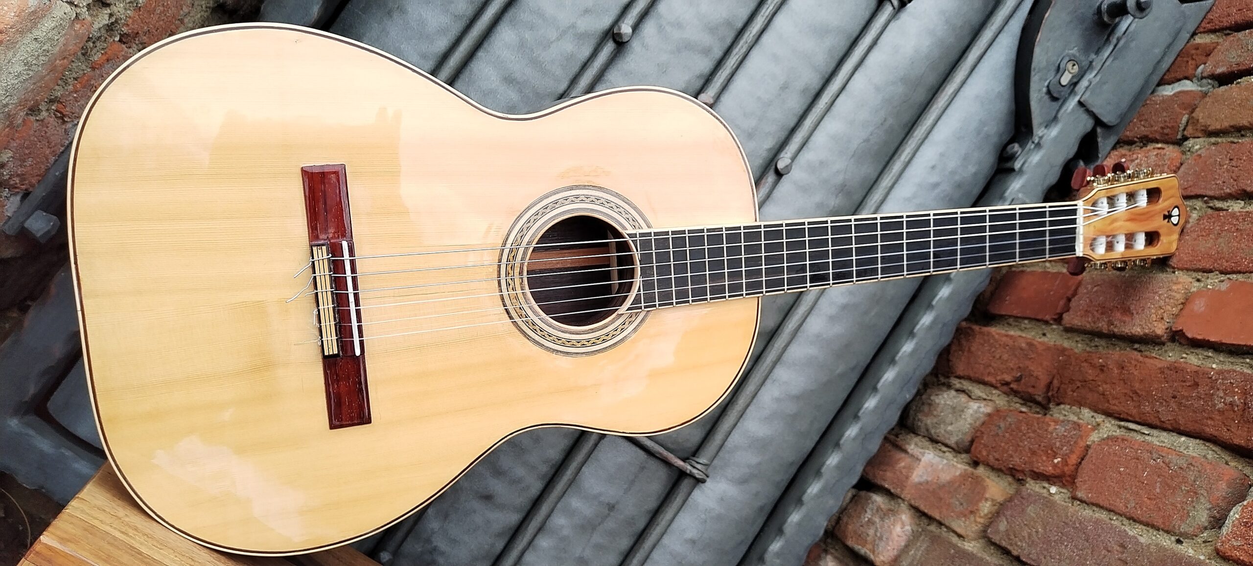 Fröhlich No.5