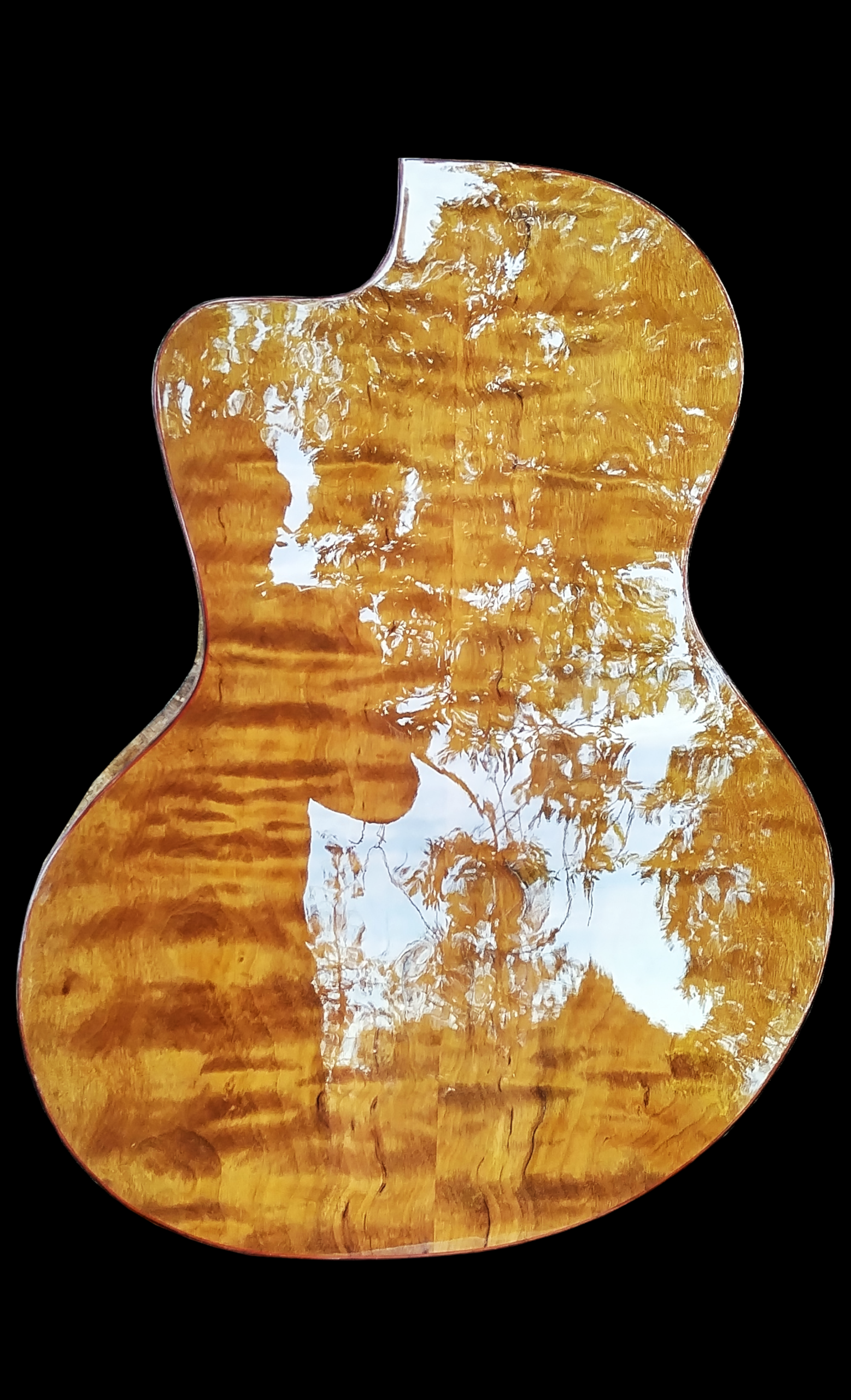 Fröhlich No.6