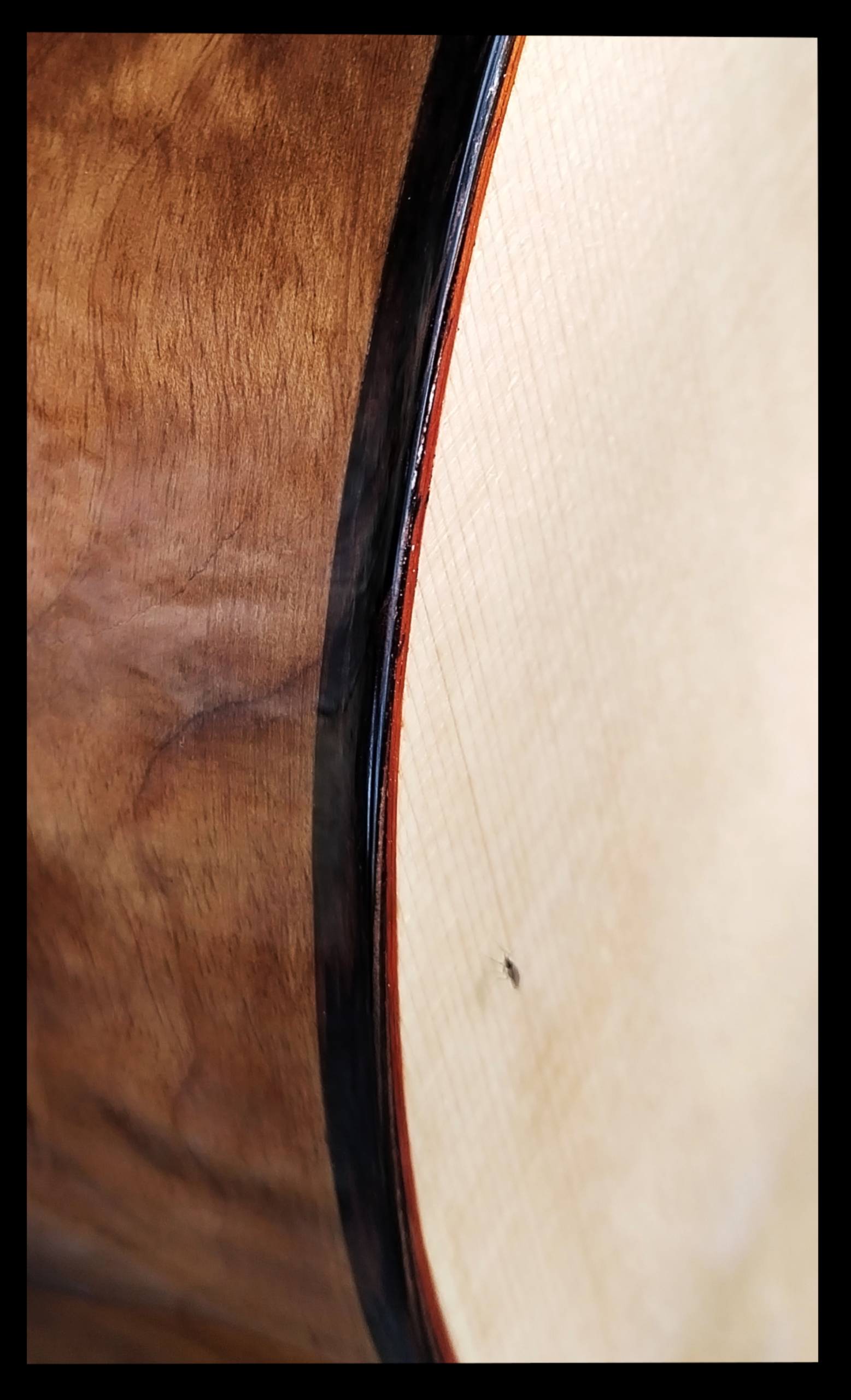 Fröhlich No.6